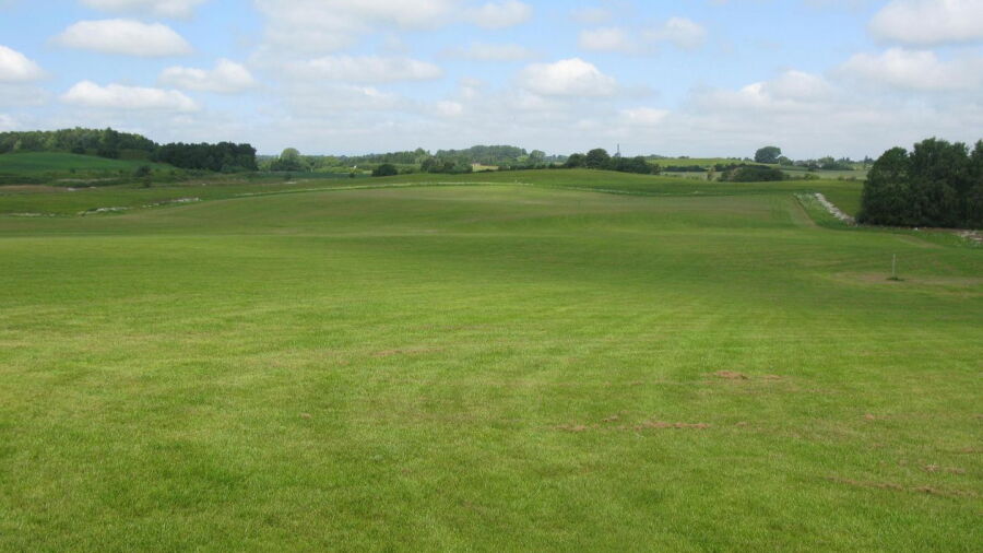 Ree Golf