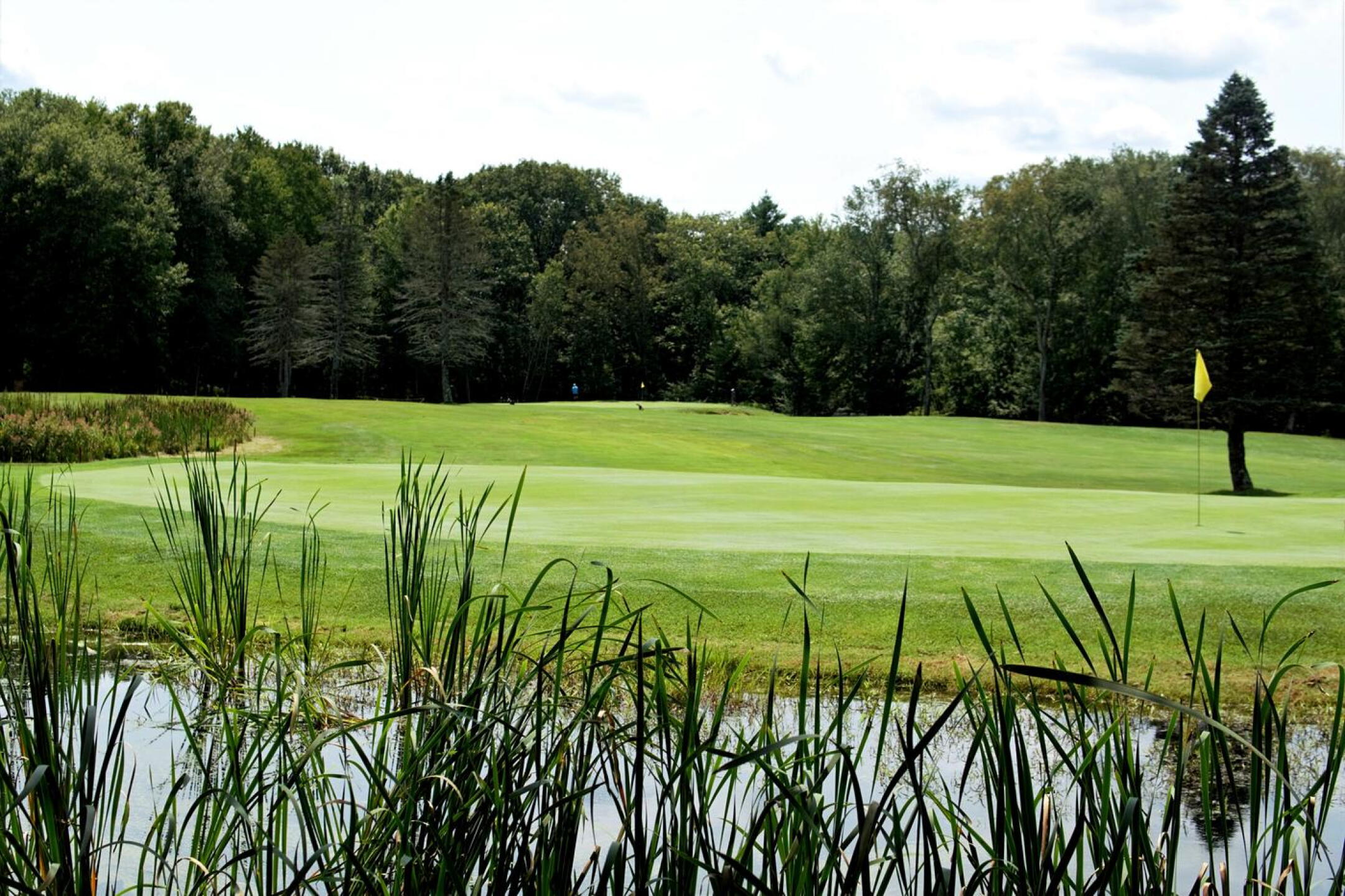 Behind the par-3 fifth is a small and hidden pond, a home for turtles. (Photo submitted by AptlyLinked on 08/03/2023)