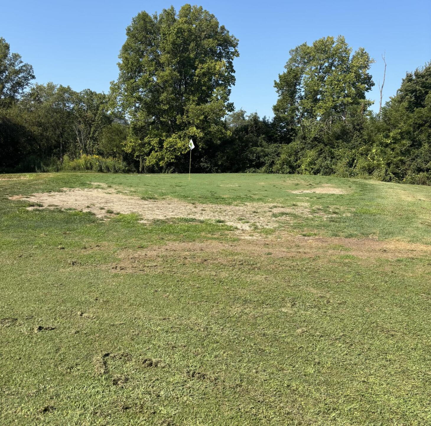 We found the best green on the course (Photo submitted by Gene1016088 on 09/04/2026)