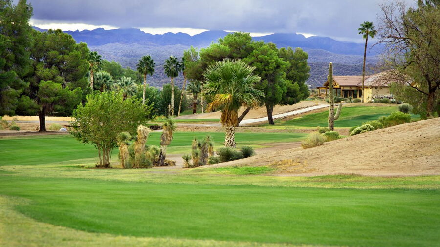 Wickenburg CC: #18