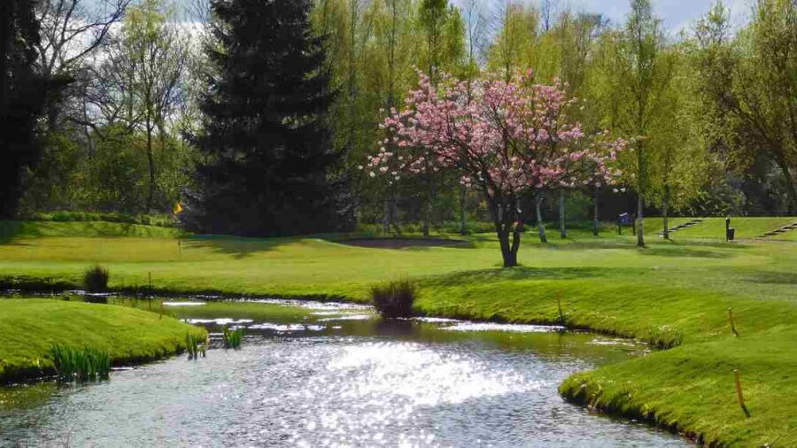 Shirley GC