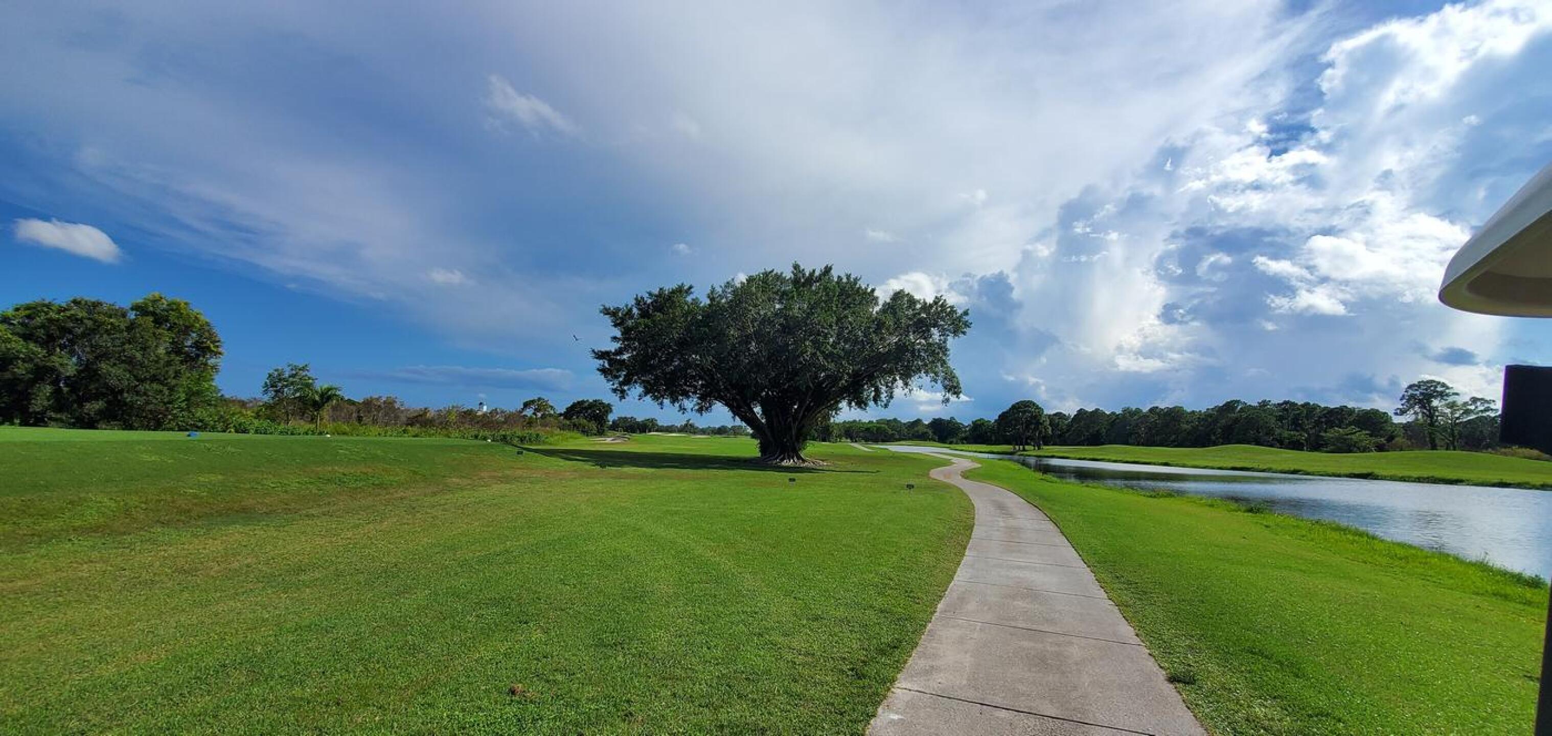 (Photo submitted by marcelooliveira on 09/18/2023)