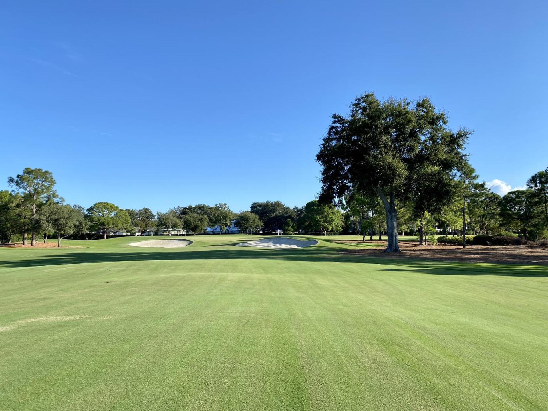 Pelican Golf Club, hole 1 (Photo submitted by TimGavrichGP on 11/05/2021)