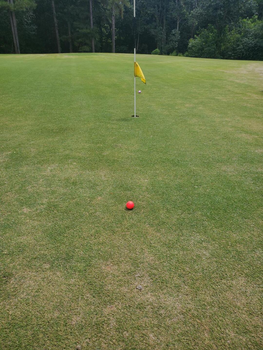 Tee shot on 14. (Photo submitted by DavidIngraham1 on 11/15/2020)