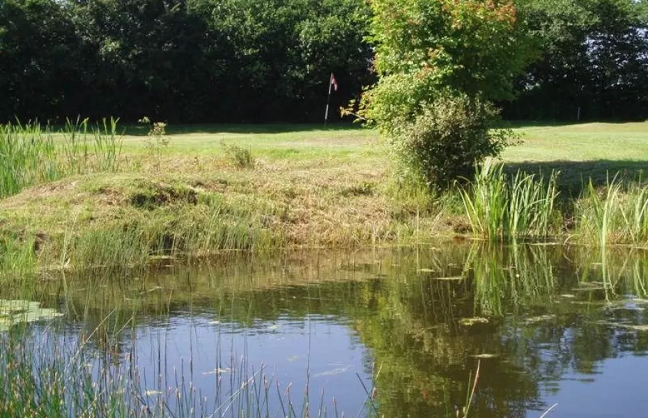 Sturminster Marshall GC: #6