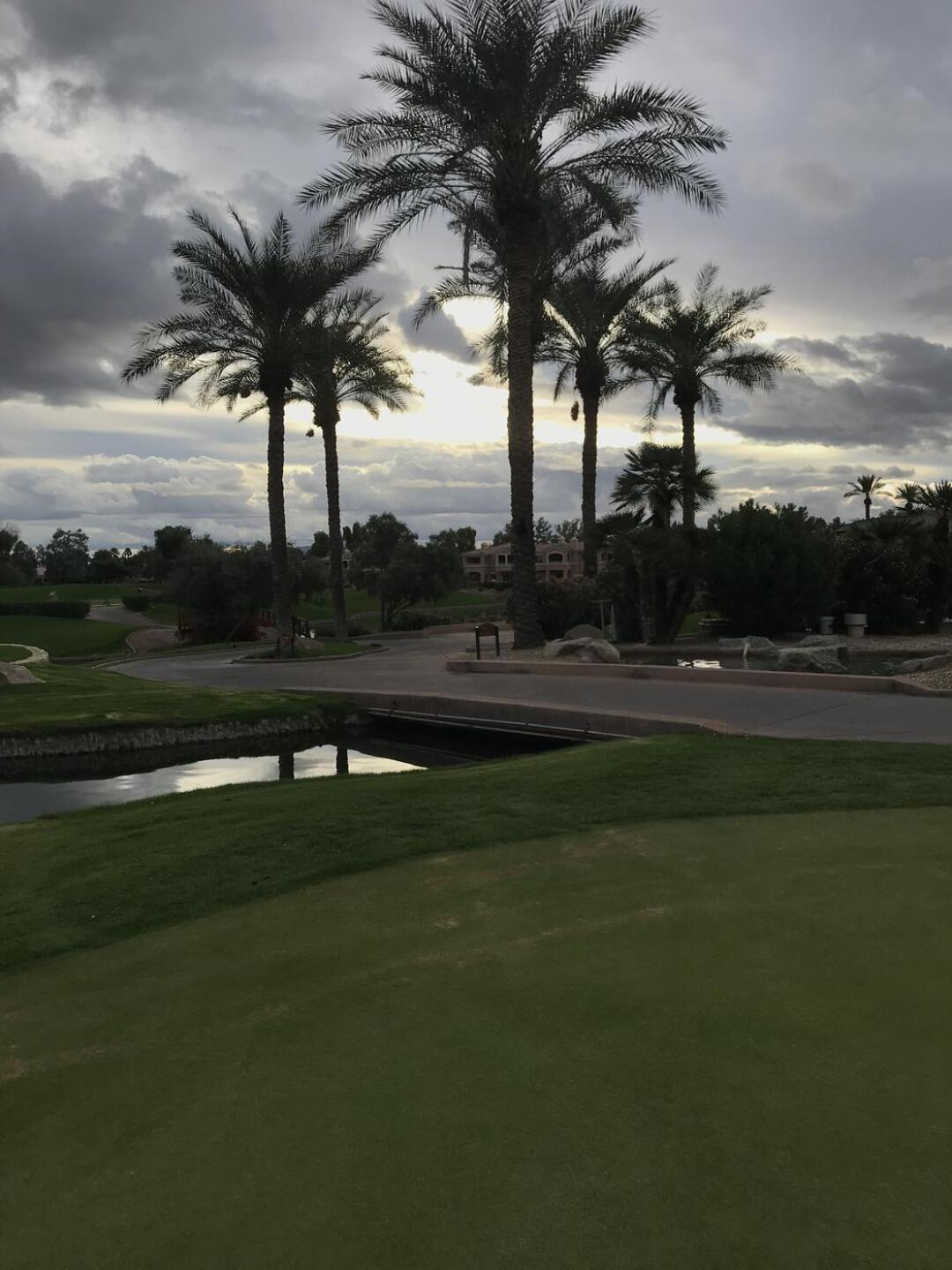 (Photo submitted by CwoIoilQspOLRMCPIarK on 11/06/2020)