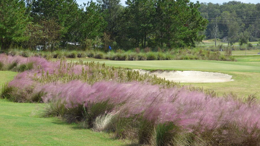 Zellwood Station & CC