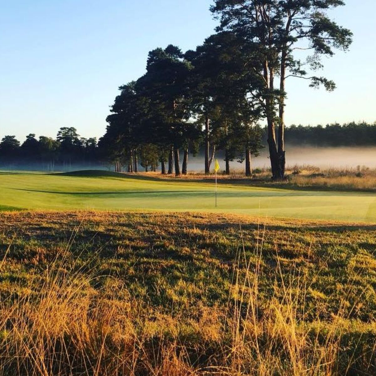 Hankley Common Golf Club in Farnham, Waverley, England GolfPass