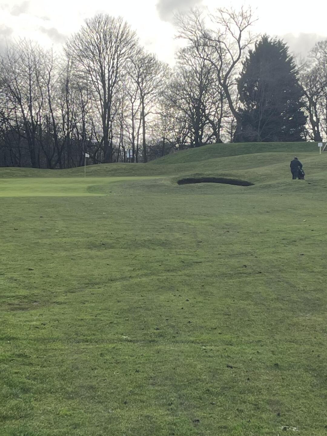 (Photo submitted by dazg79 on 01/25/2026)