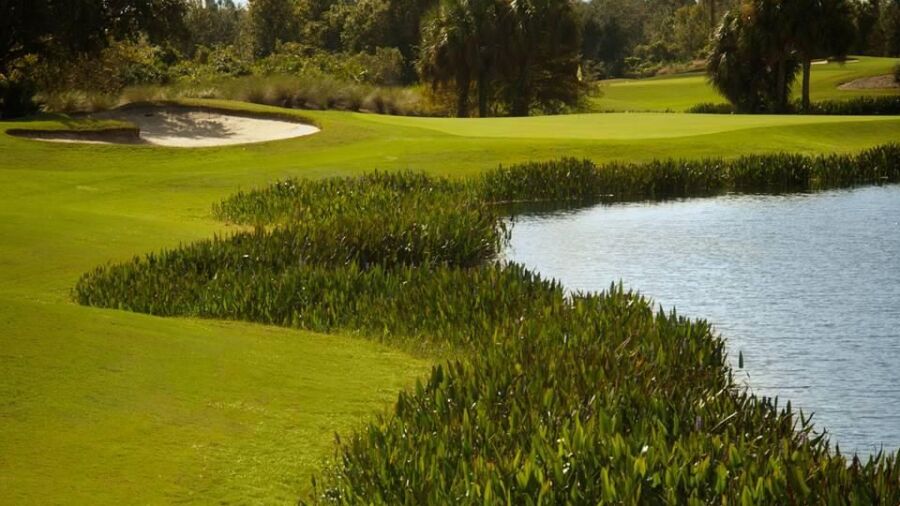 Stonegate GC