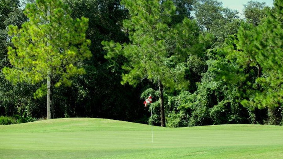 Terrace Hill GC