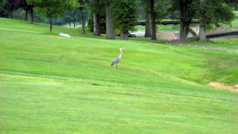 Indian Valley CC
