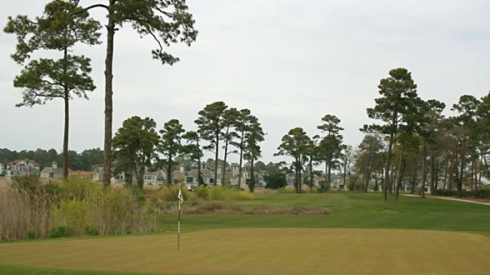Tidewater Golf Club - Marsh