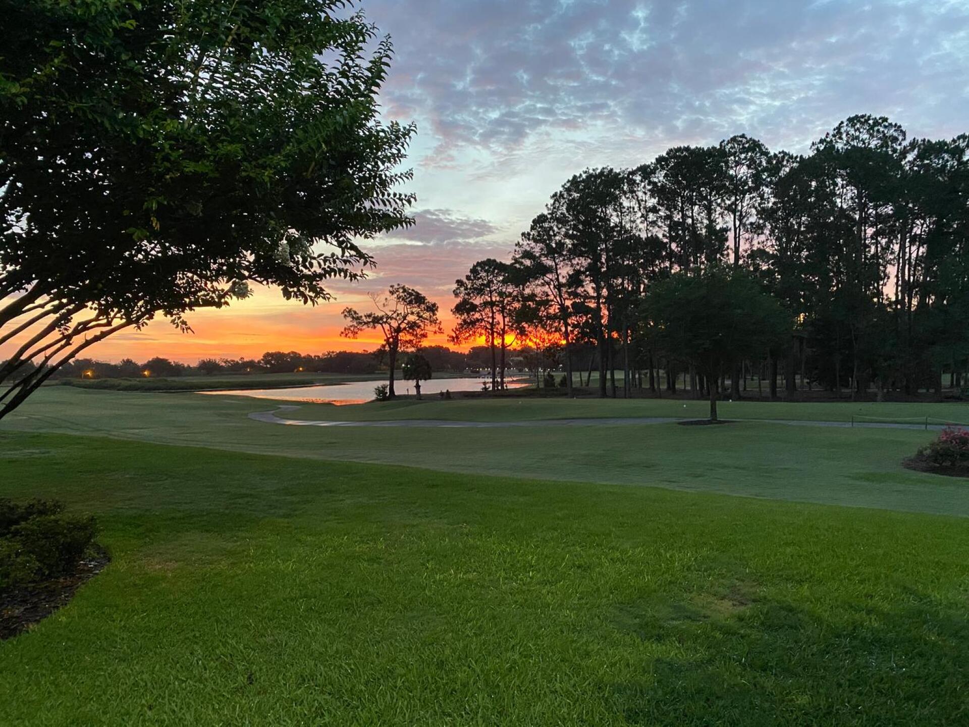 Breaking the morning dew at El Campeon (Photo submitted by Scott4497478 on 05/25/2020)