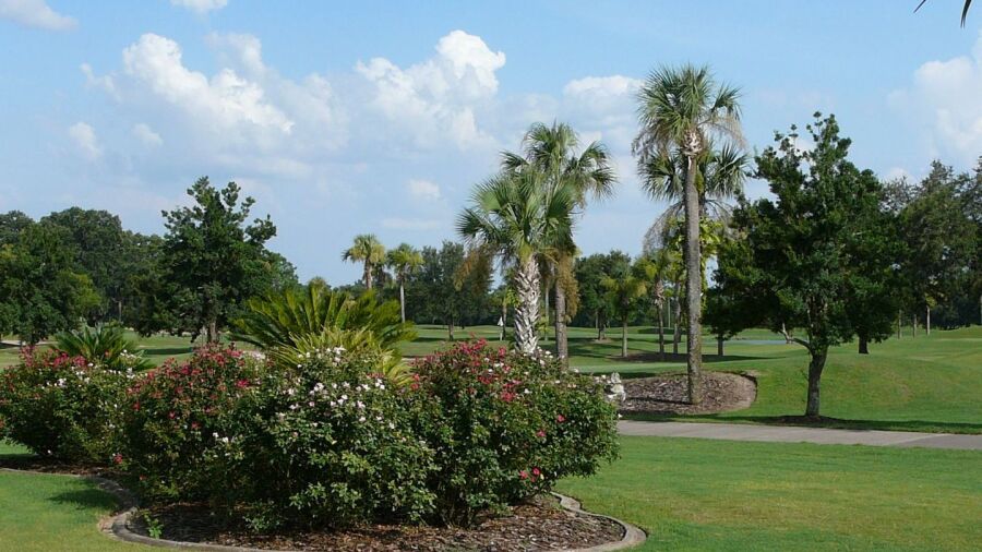 Links of Spruce Creek South
