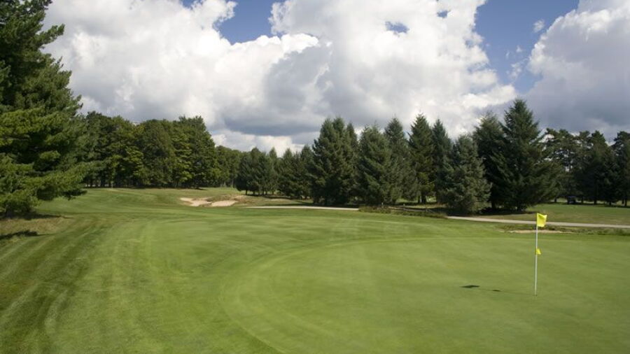 Pinecroft GP: #18
