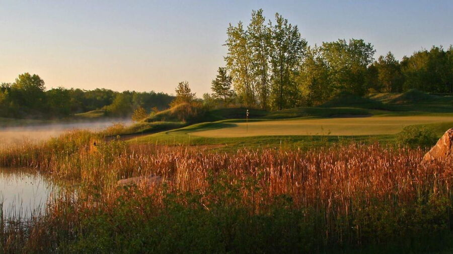 Quarry Oaks