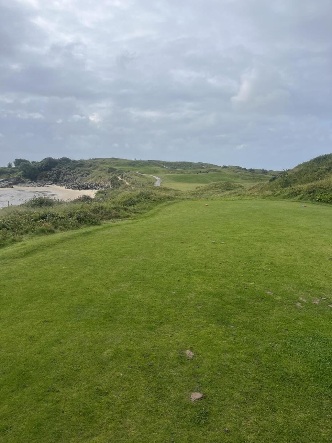 (Photo submitted by u314162586449 on 08/27/2024)