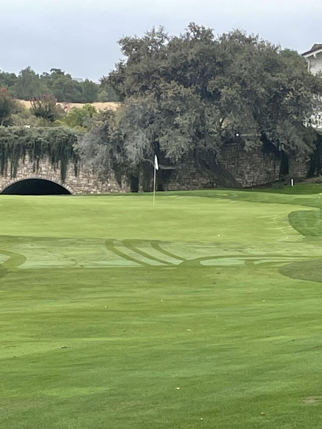 (Photo submitted by Realini on 11/10/2023)