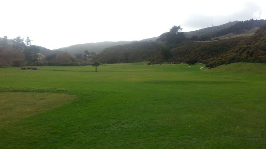 Makara GC