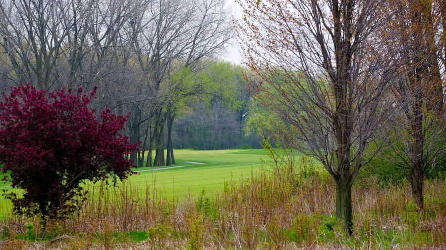 Briar Ridge CC