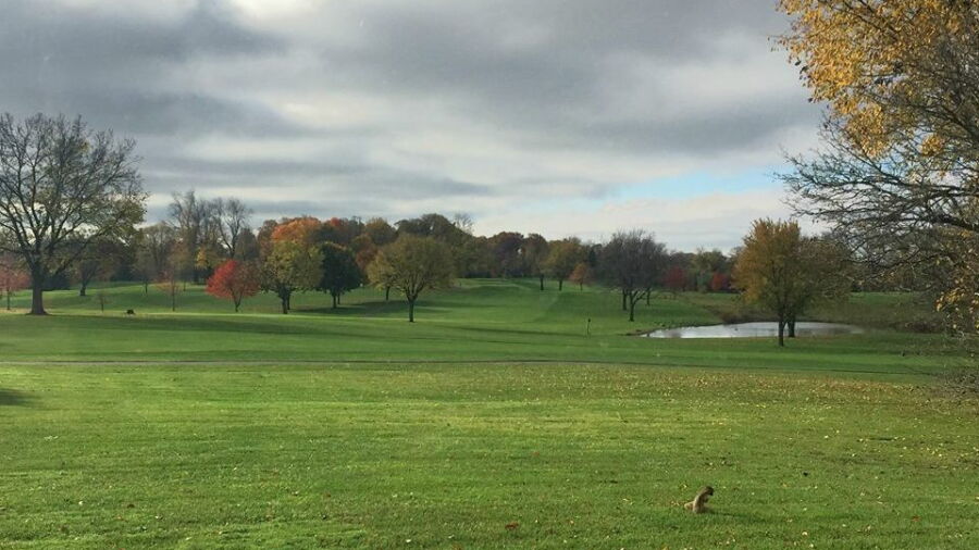 Fox Hills Golf Center