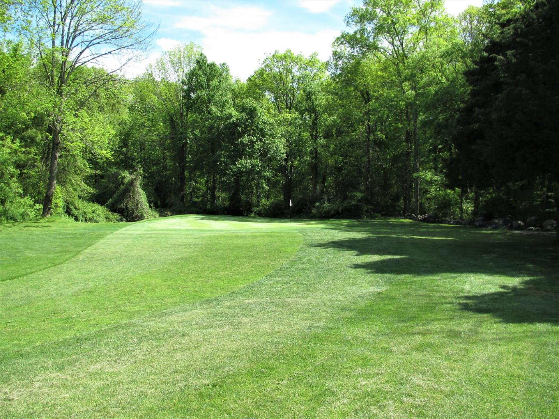 Seven: Short-but-tough 5-par that runs uphill (dogleg-left) and ends on this green amidst the woods. (Photo submitted by AptlyLinked on 05/29/2020)