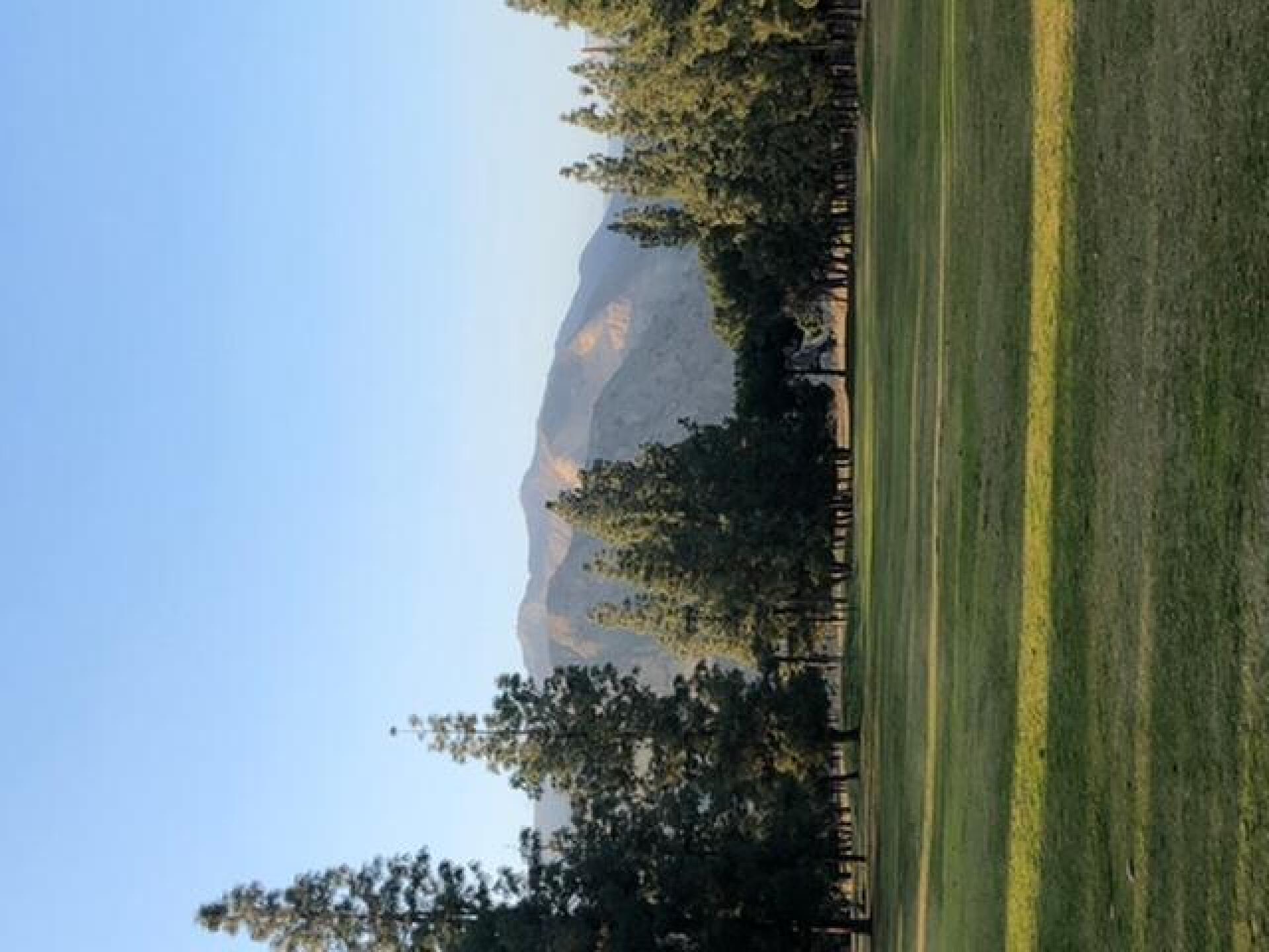 (Photo submitted by u953780196 on 02/08/2020)