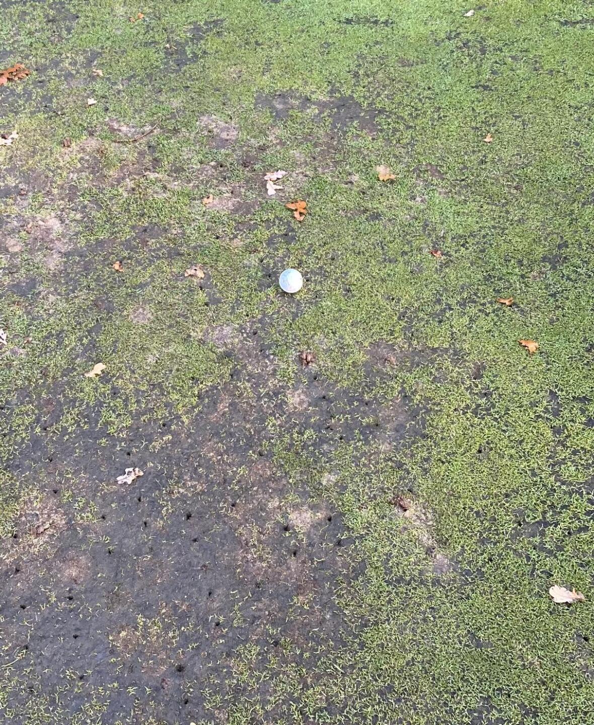 One of the greens (Photo submitted by cgrimsey2021 on 11/25/2022)