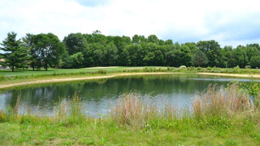 Clearbrook GC: #6