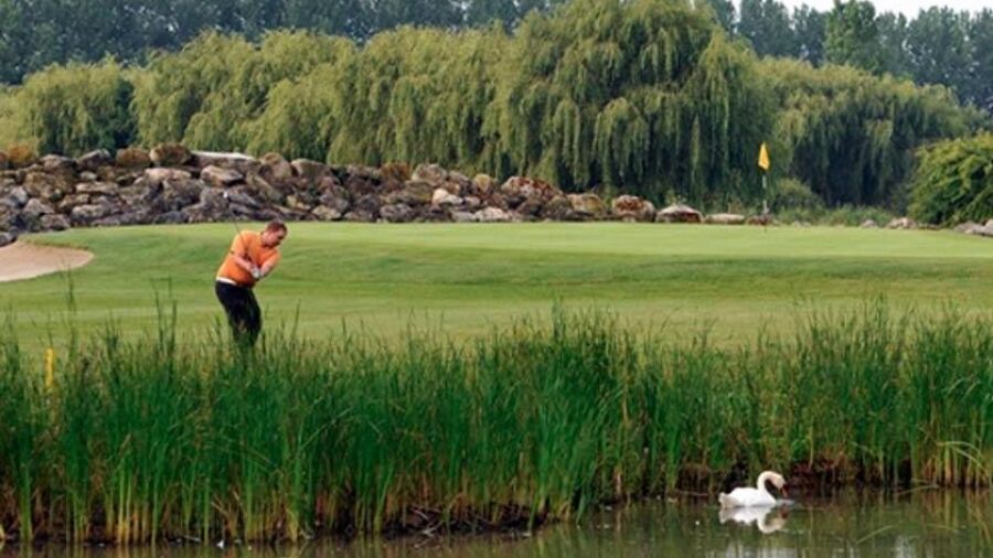 Seaford College Golf Academy