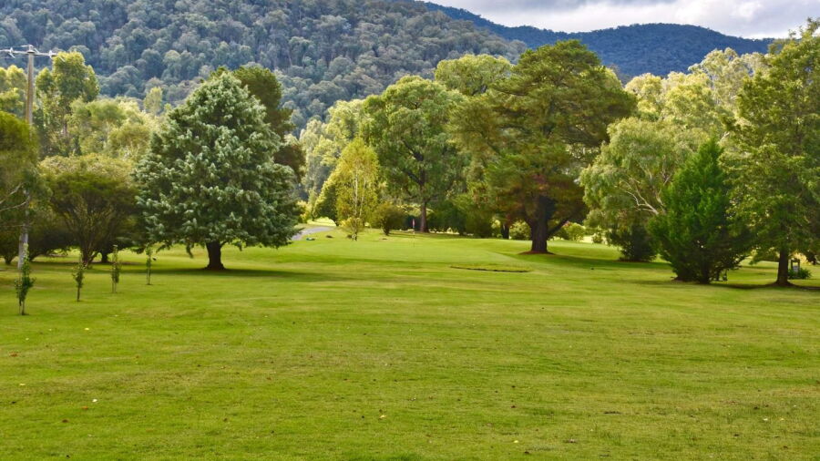 Myrtleford GC: #1