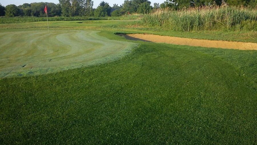 Green Meadows Academic GC: #2