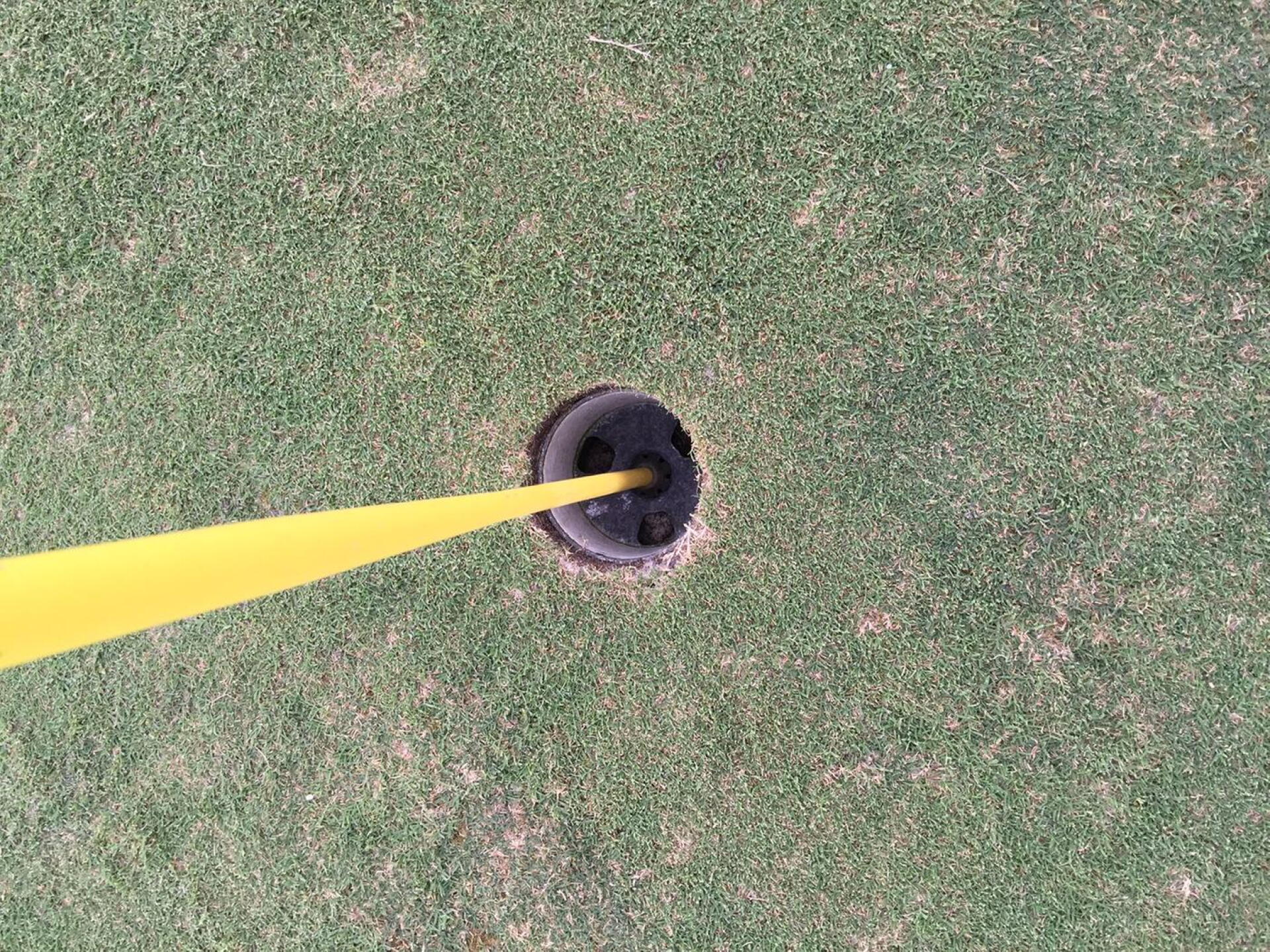 Cup hasn't been moved in forever, edges all chewed up (Photo submitted by jarrett3112794 on 07/11/2016)