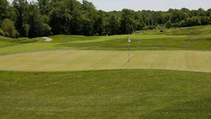 Hampshire Greens GC