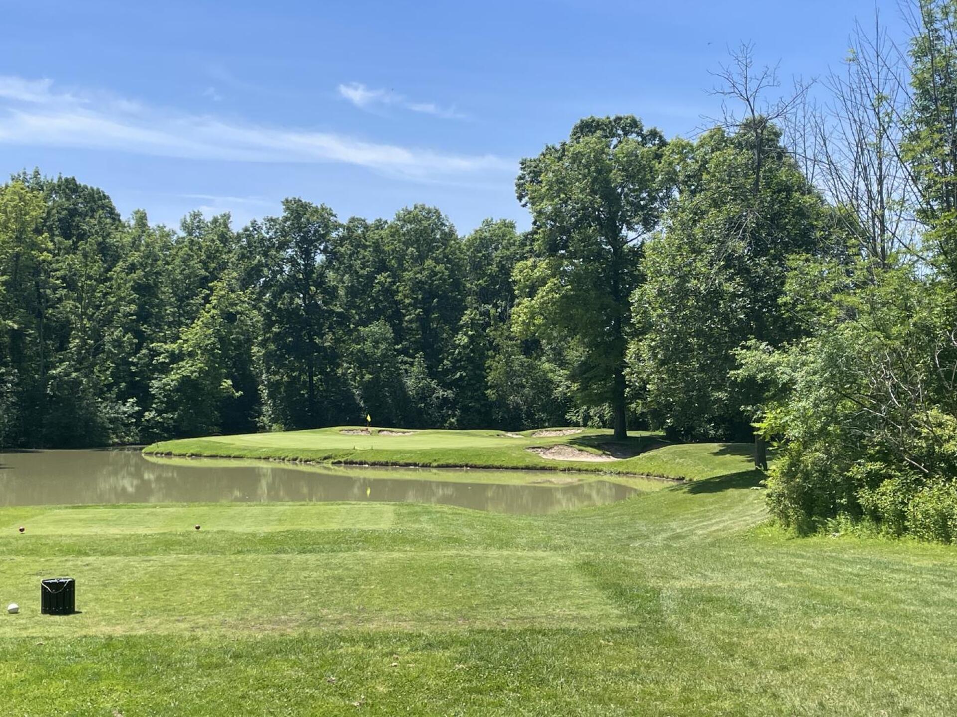 (Photo submitted by MikeAroo on 06/17/2024)