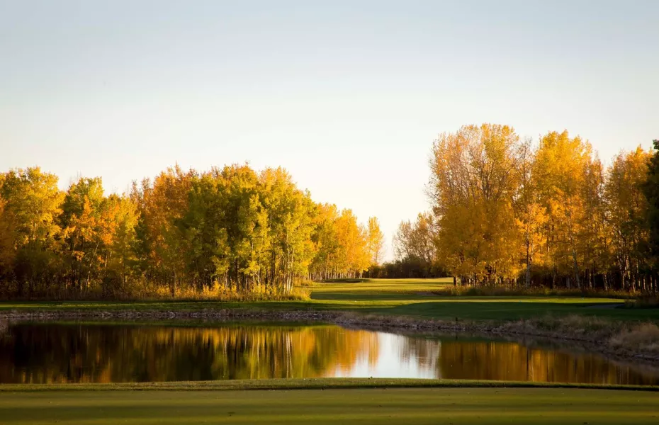 Serenity GC - Dancing Bull: #13