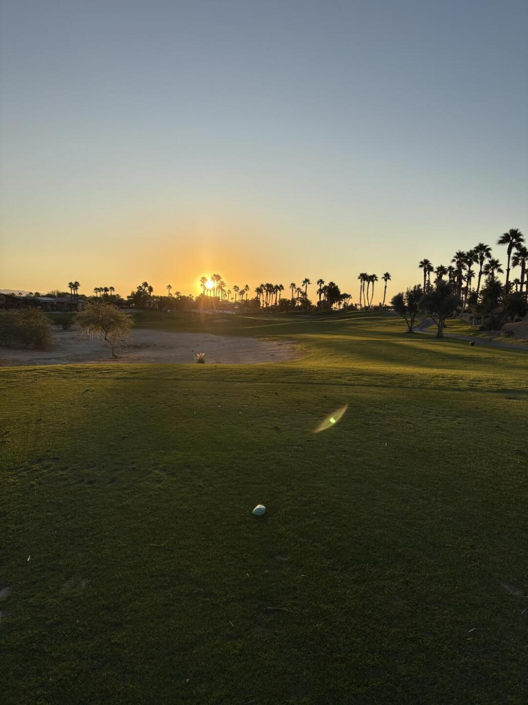 (Photo submitted by dbgiese on 11/12/2024)