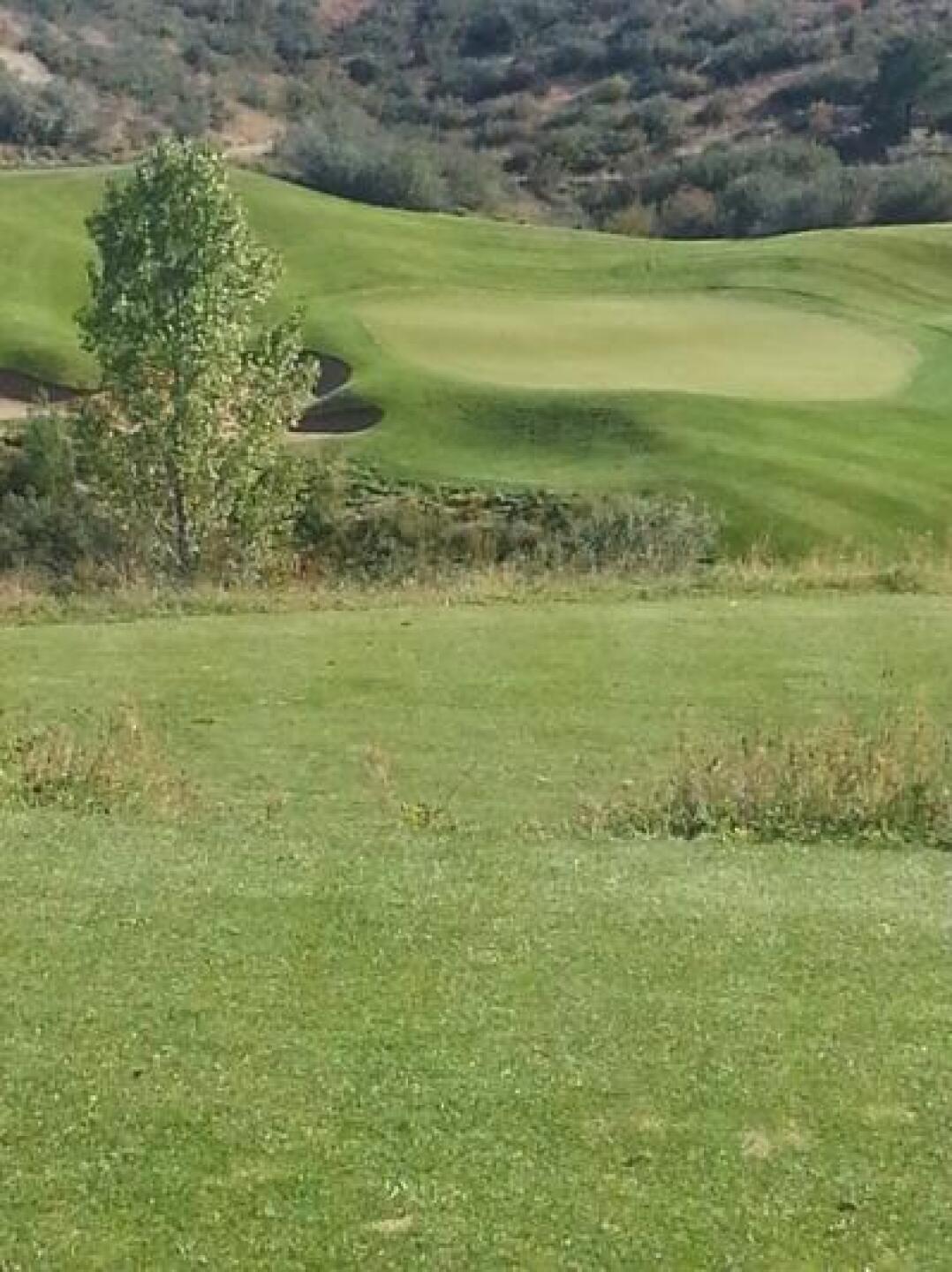 #8 (Photo submitted by tomkalafut on 10/14/2013)