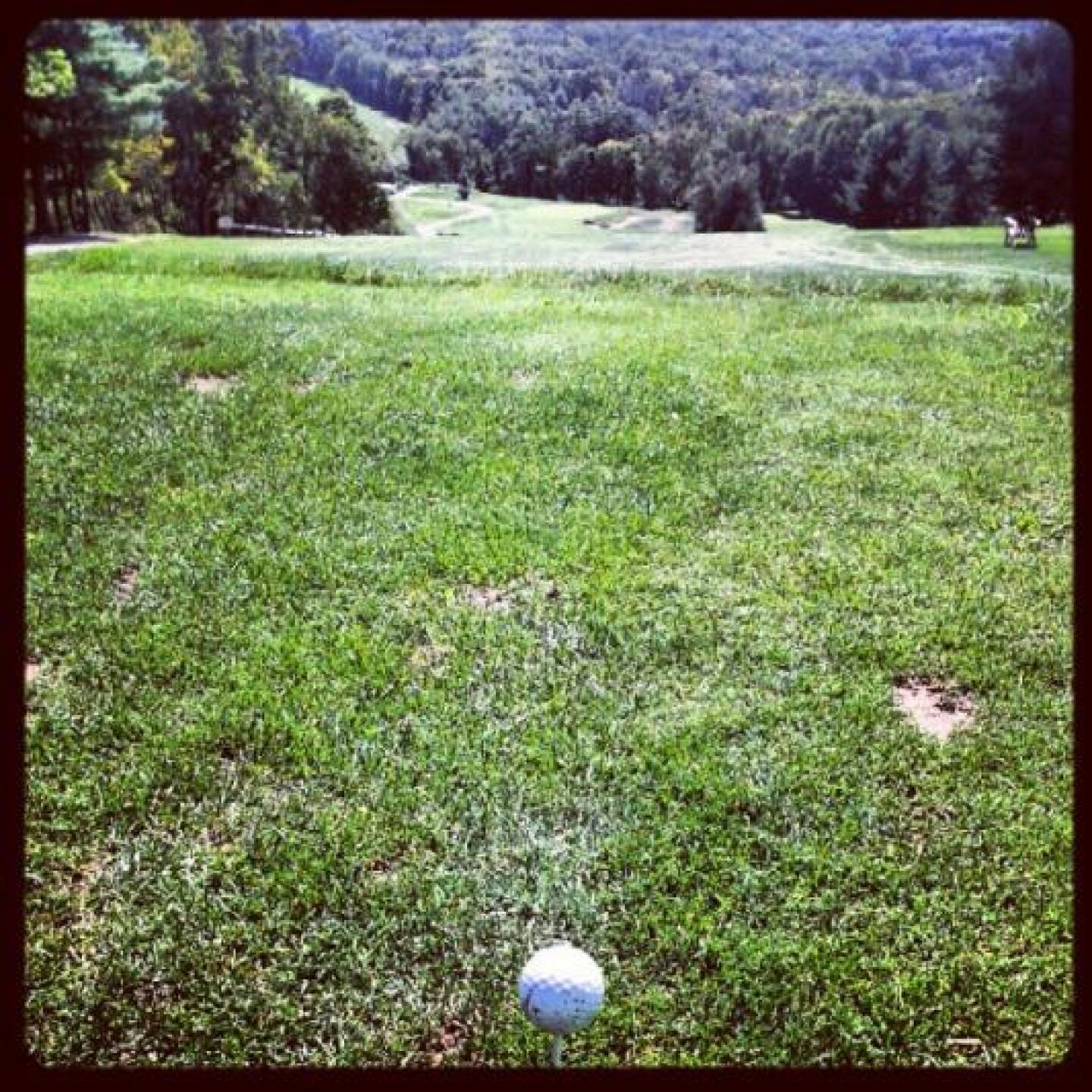 (Photo submitted by vegasjoker on 09/25/2012)