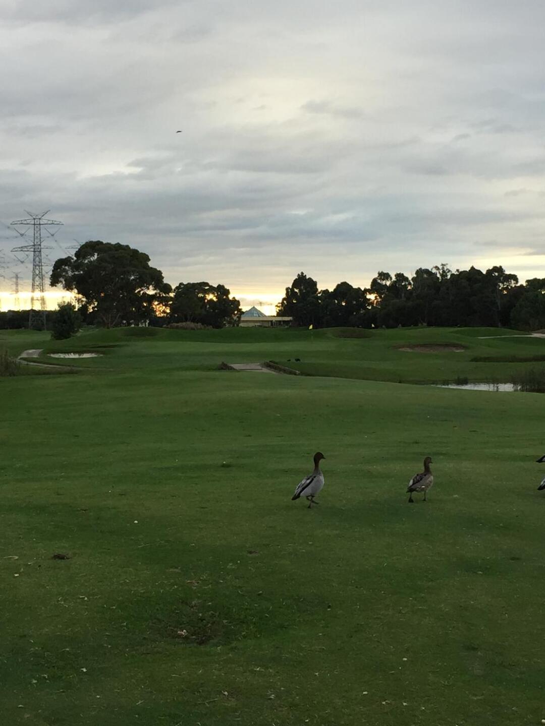 (Photo submitted by theglasseyegolfer on 05/27/2017)