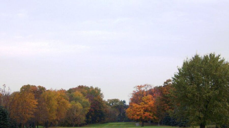White at Winding Creek GC: #6