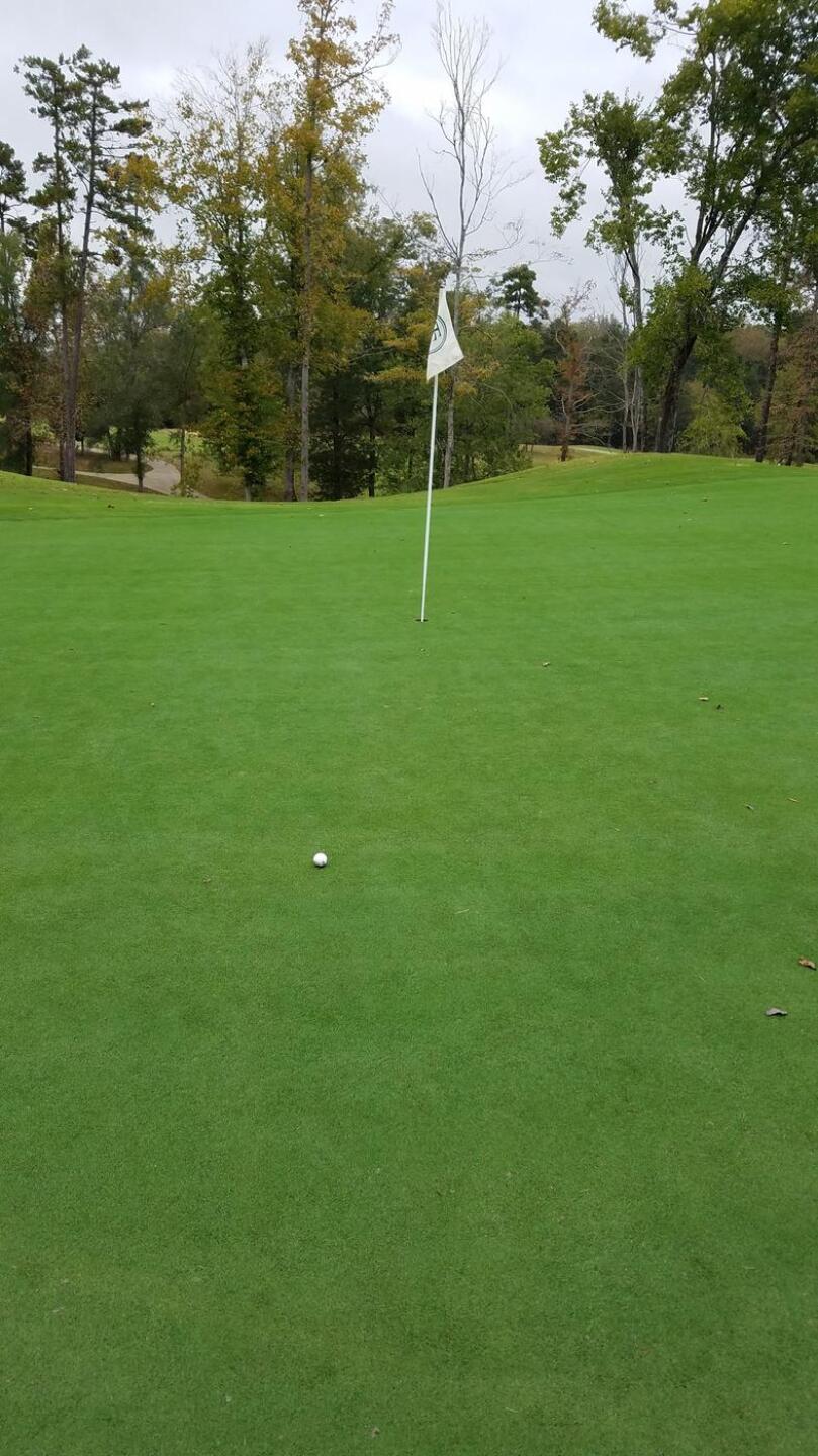 Par three, 16th green Birdie was made (Photo submitted by Geno7176732 on 10/15/2017)