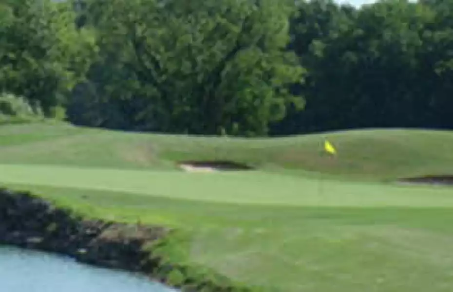 Bear Trace at Ross Creek Landing: #11