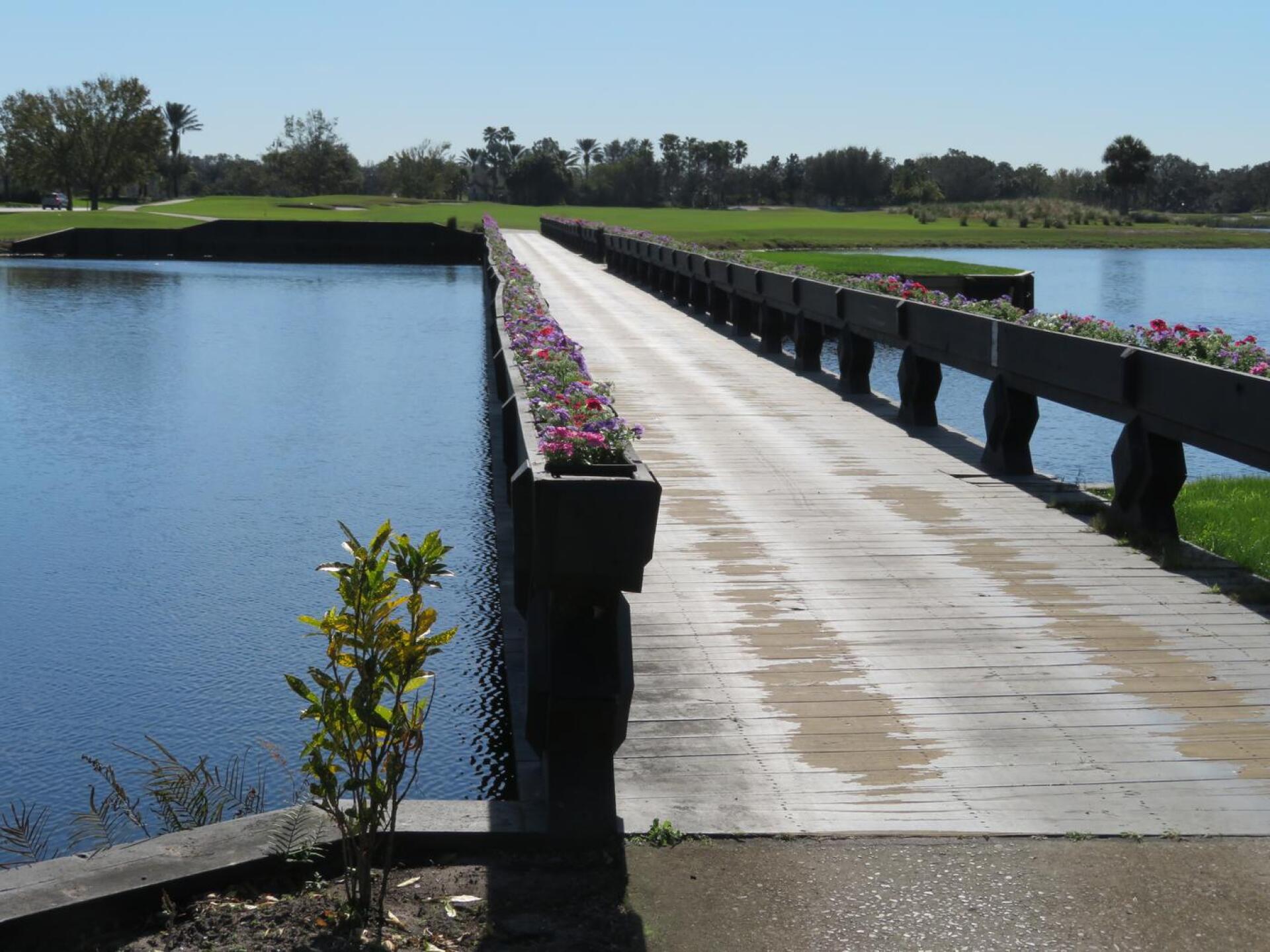 Nice touches (Photo submitted by sandier on 12/20/2022)