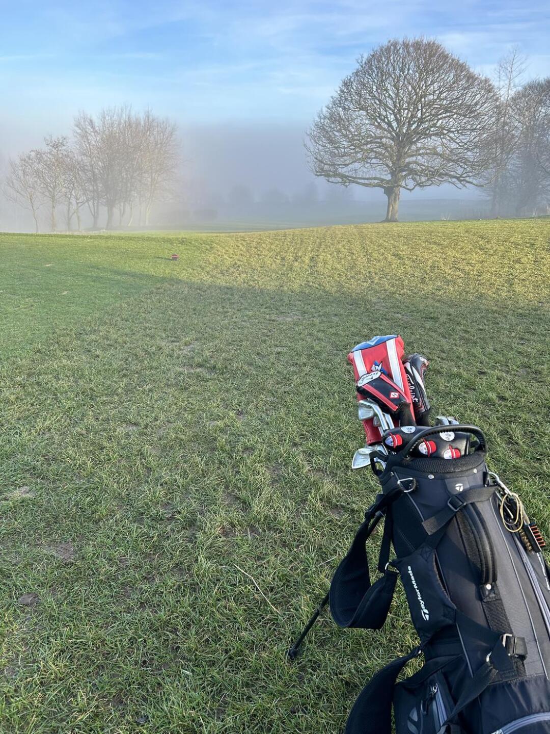 (Photo submitted by t304075416 on 12/28/2024)