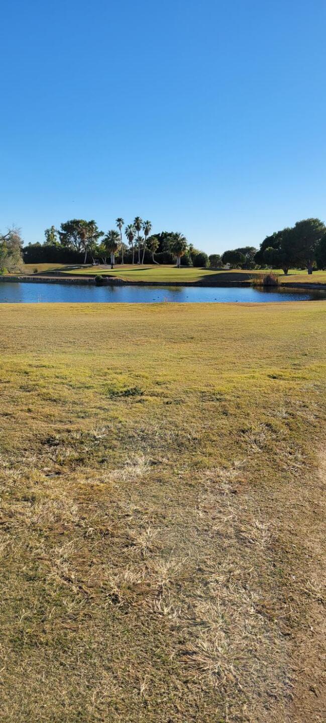 (Photo submitted by gc1207589121 on 12/11/2022)