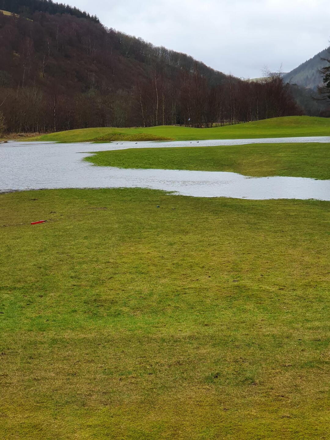 Flooded (Photo submitted by u7917017 on 02/21/2021)