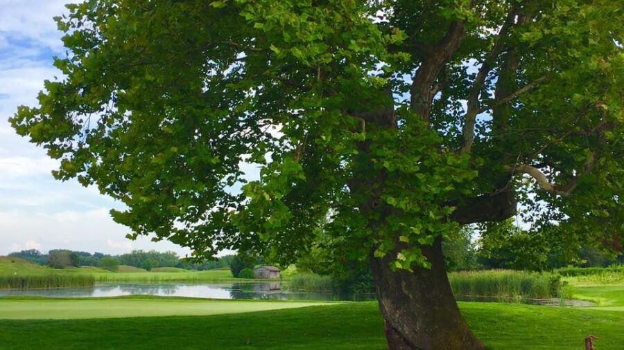 Cooks Creek GC