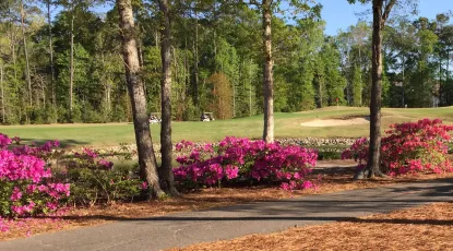 River Oaks Golf Plantation